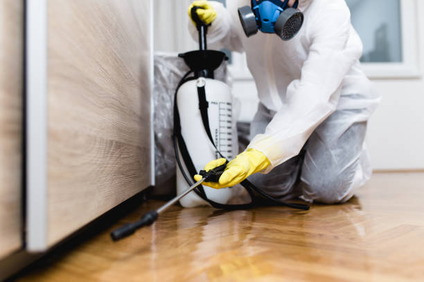 Best Pest Control for Restaurants  in Charlestown, MD