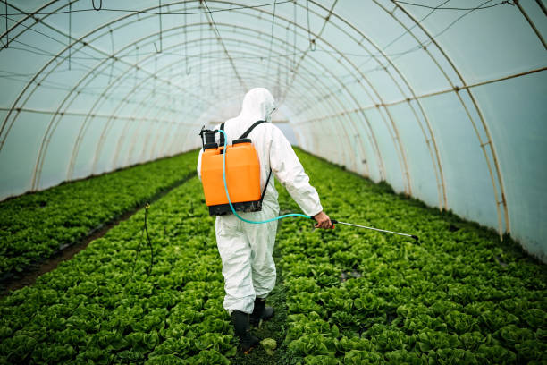 Best Local Pest Control Services  in Charlestown, MD