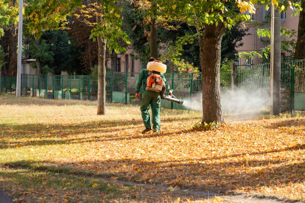 Best Best Pest Control Near Me  in Charlestown, MD
